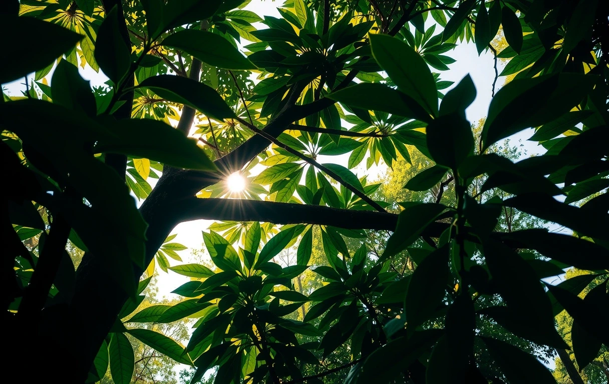 Skin health nature backdrop